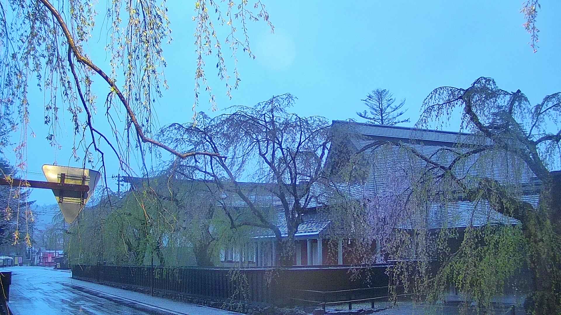 area1-20250430043017.jpg