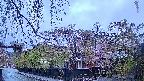 area1-20250430050015.jpg