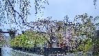 area1-20250430052014.jpg