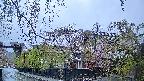 area1-20250430053015.jpg