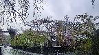 area1-20250430055016.jpg