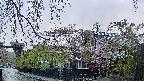 area1-20250430060015.jpg