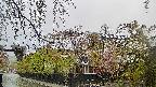 area1-20250430061016.jpg