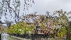 area1-20250430062015.jpg