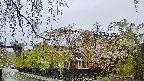 area1-20250430063016.jpg