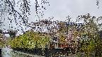 area1-20250430070016.jpg