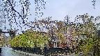 area1-20250430072014.jpg