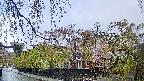 area1-20250430073015.jpg