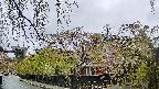 area1-20250430081016.jpg