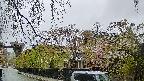 area1-20250430082014.jpg