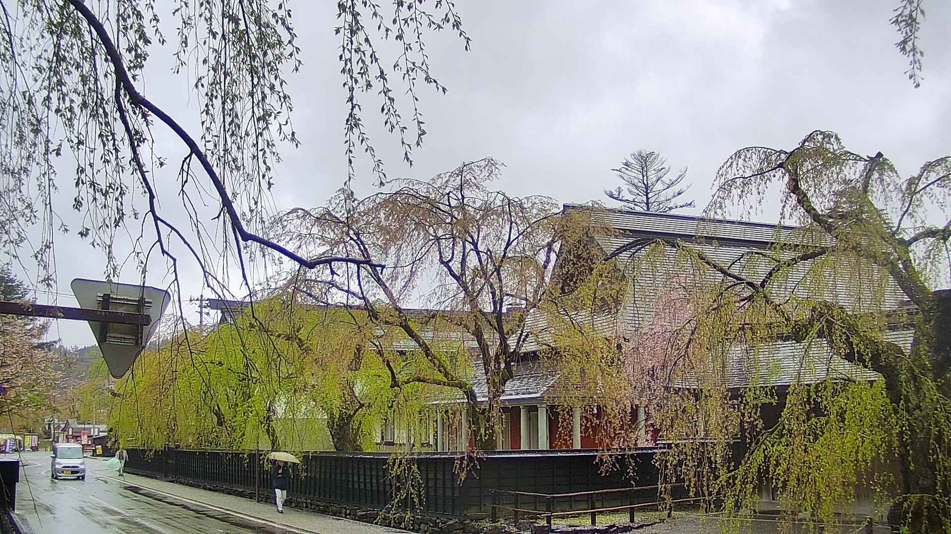 area1-20250430083017.jpg