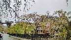 area1-20250430092016.jpg