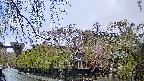 area1-20250430093014.jpg