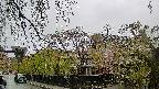 area1-20250430095016.jpg