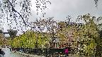 area1-20250430100014.jpg
