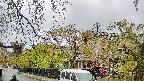 area1-20250430102014.jpg
