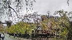 area1-20250430110016.jpg