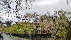 area1-20250430112015.jpg