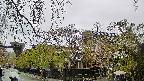 area1-20250430114016.jpg