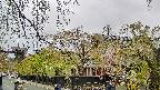 area1-20250430122016.jpg