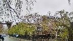 area1-20250430132015.jpg