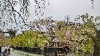 area1-20250430141016.jpg
