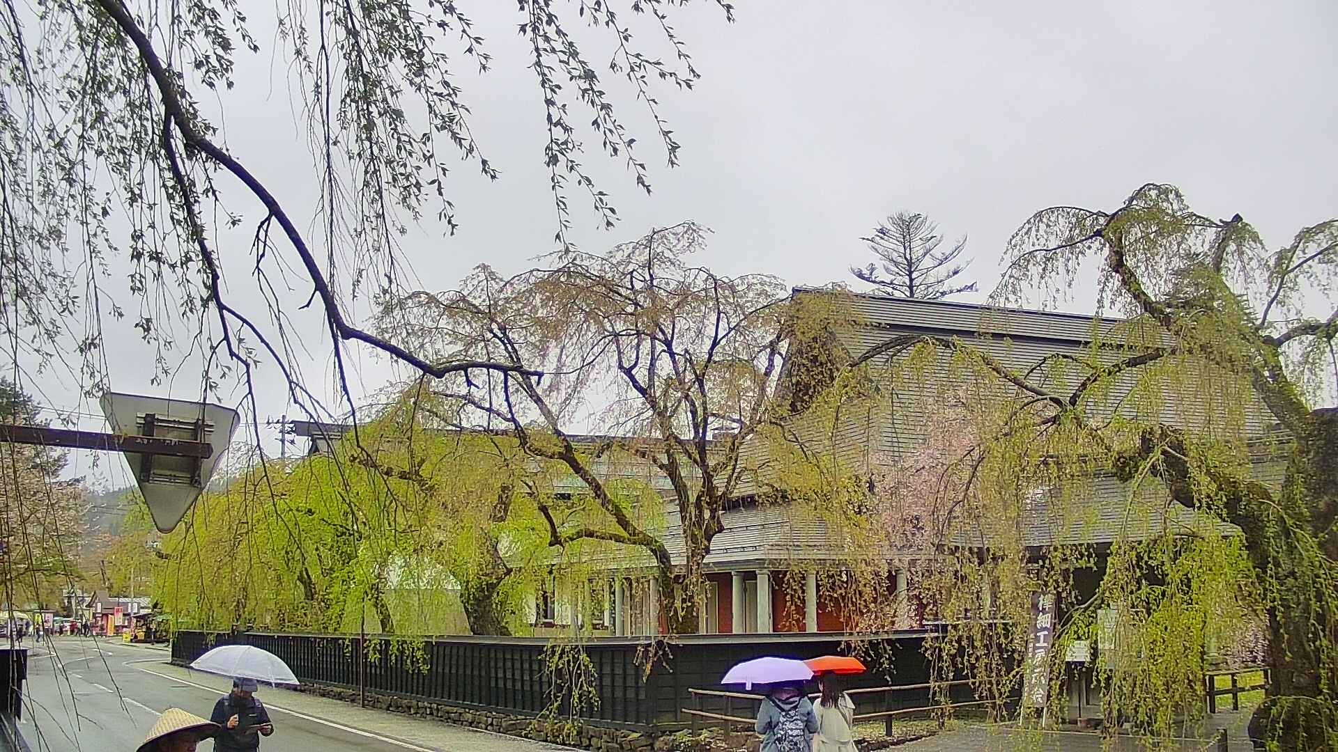 area1-20250430145015.jpg
