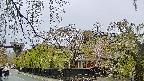 area1-20250430152014.jpg