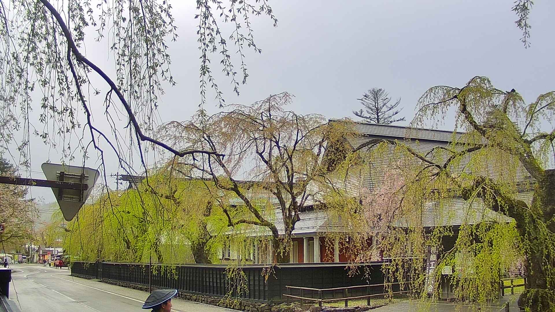 area1-20250430153014.jpg