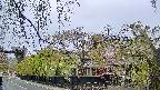area1-20250430161014.jpg