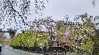 area1-20250430162014.jpg