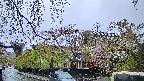 area1-20250430171015.jpg