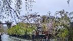 area1-20250430172015.jpg