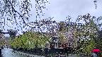 area1-20250430173015.jpg