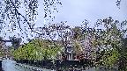 area1-20250430174016.jpg
