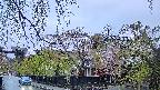 area1-20250430175016.jpg