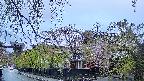 area1-20250430180014.jpg