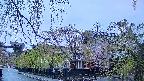 area1-20250430182015.jpg