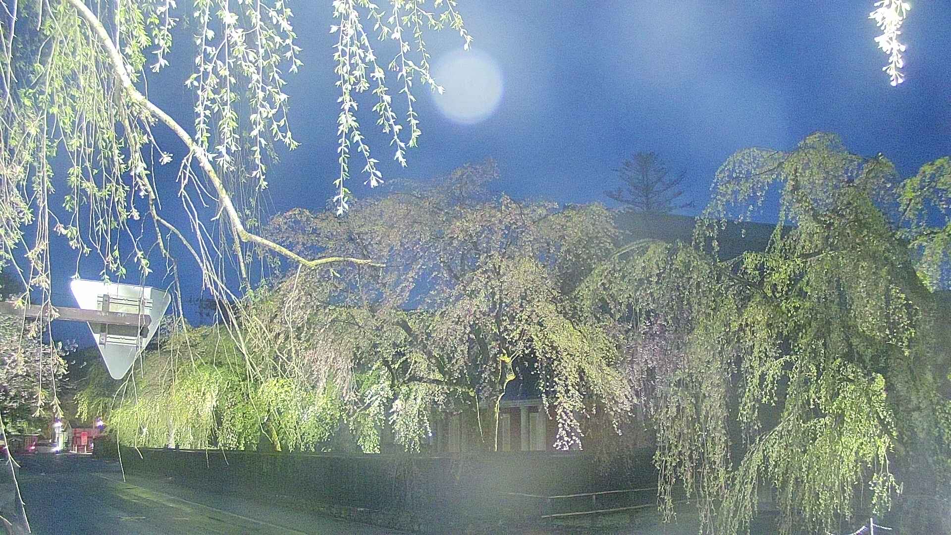 area1-20250430190015.jpg