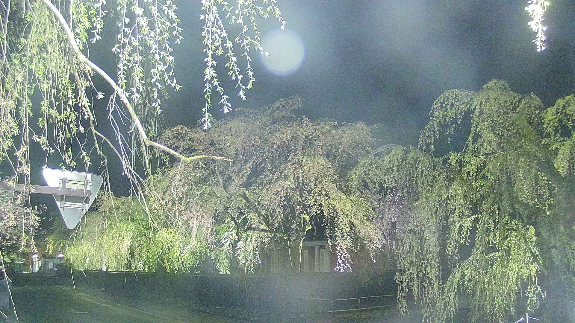 area1-20250430215015.jpg