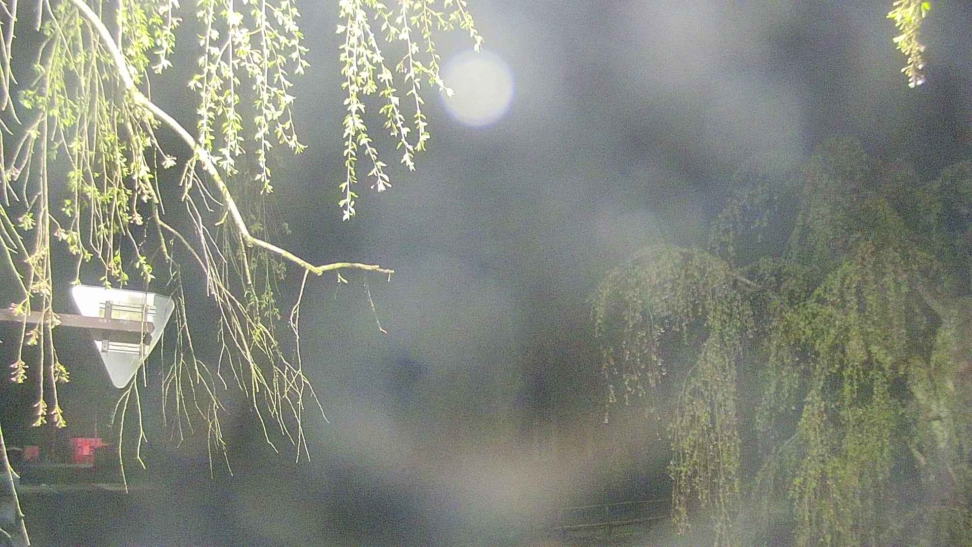 area1-20250501012015.jpg