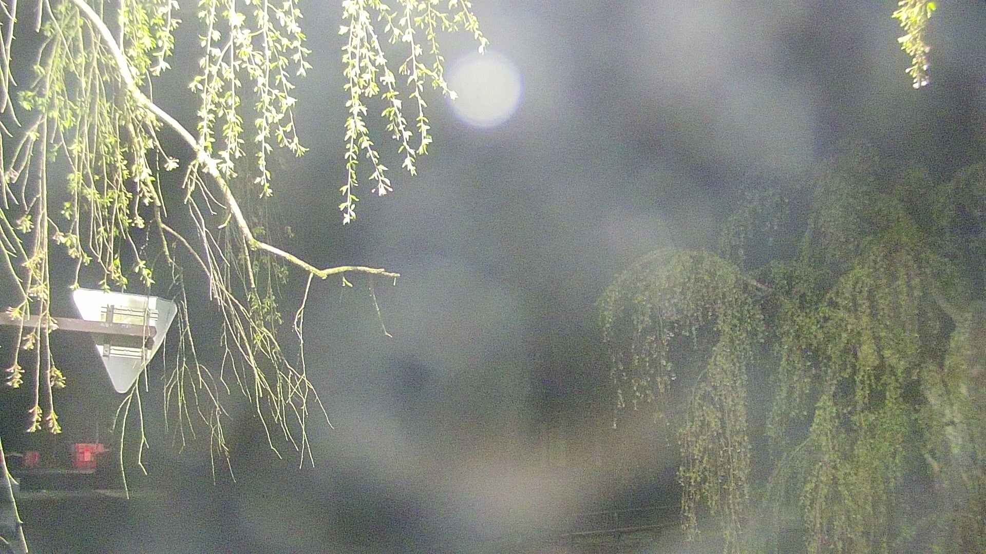 area1-20250501021016.jpg