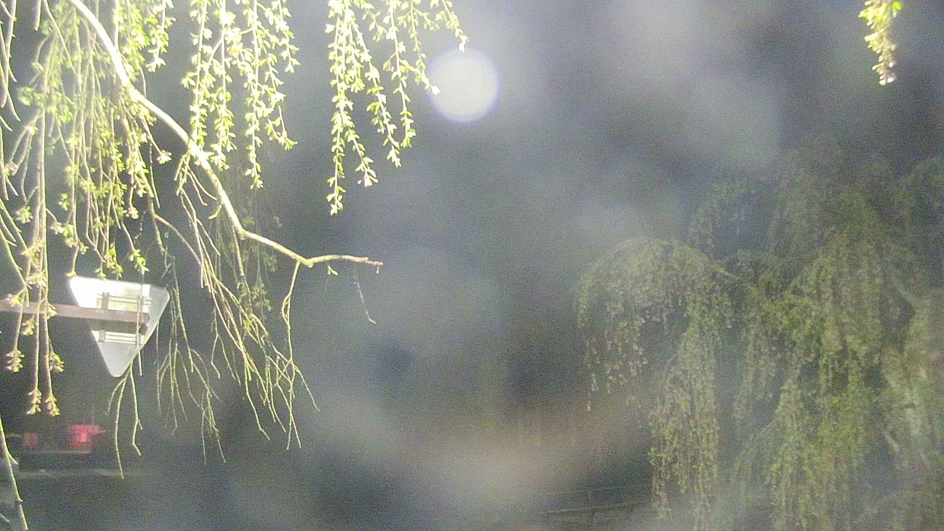 area1-20250501022014.jpg
