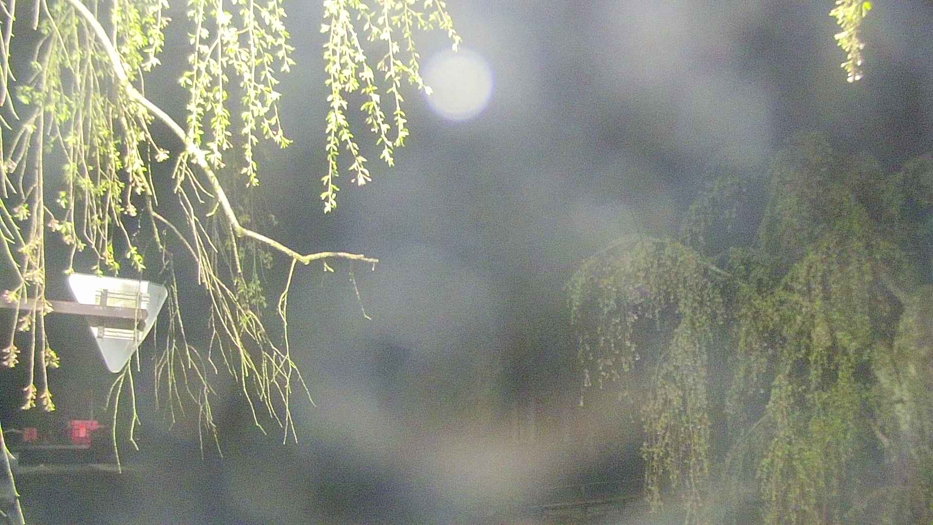 area1-20250501024016.jpg