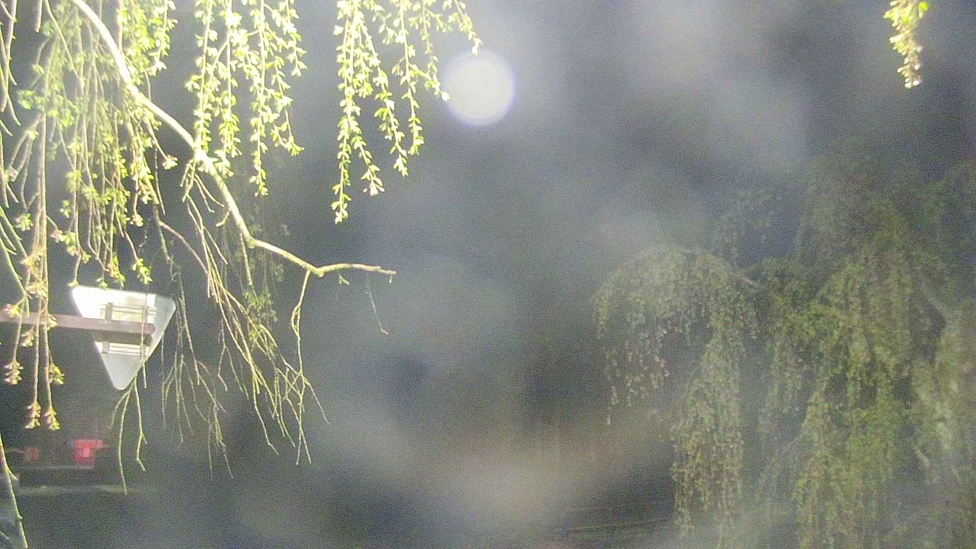area1-20250501033015.jpg