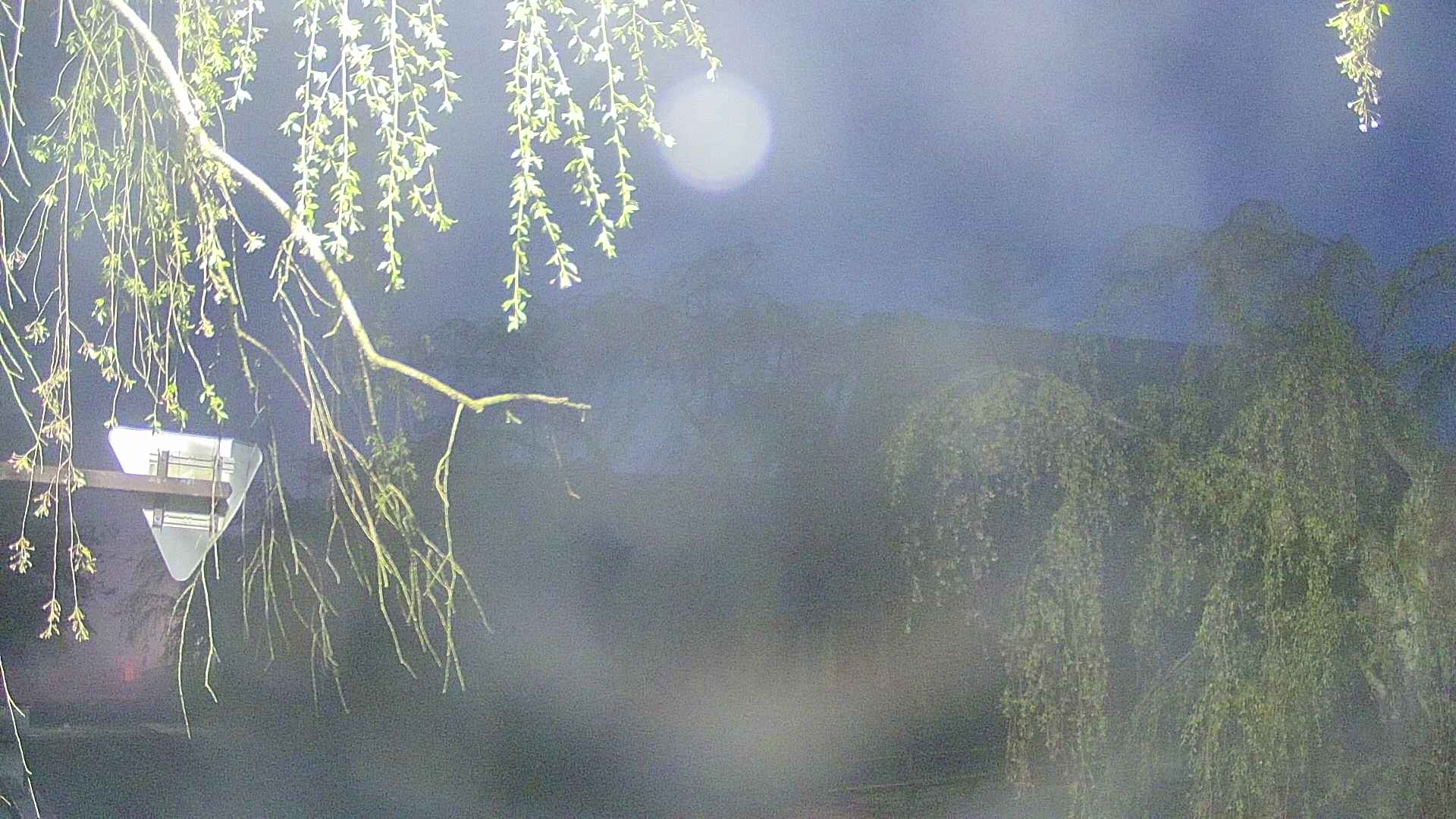 area1-20250501040014.jpg