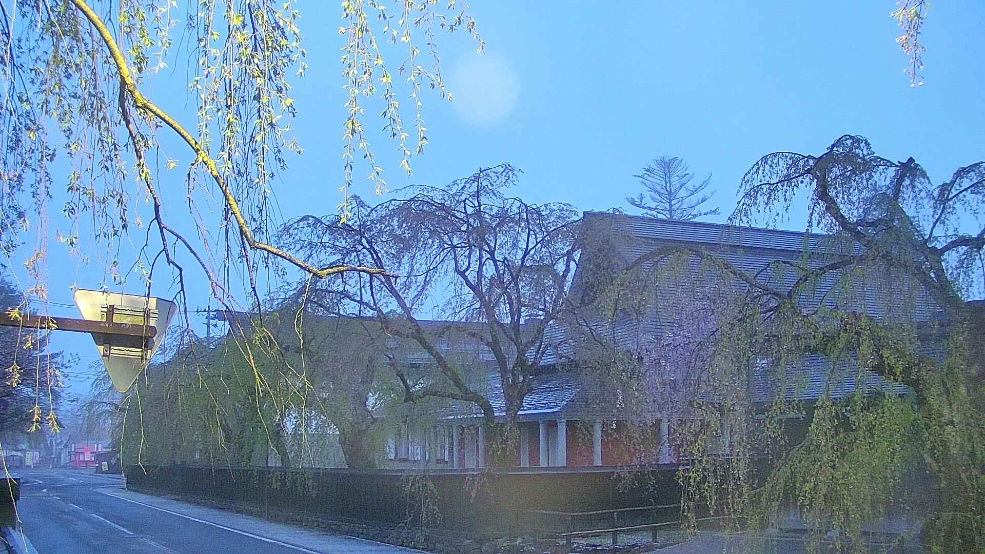 area1-20250501042015.jpg