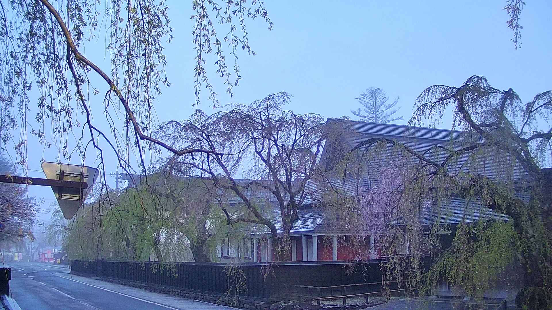 area1-20250501043016.jpg