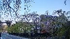 area1-20250501050015.jpg