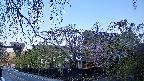 area1-20250501051015.jpg